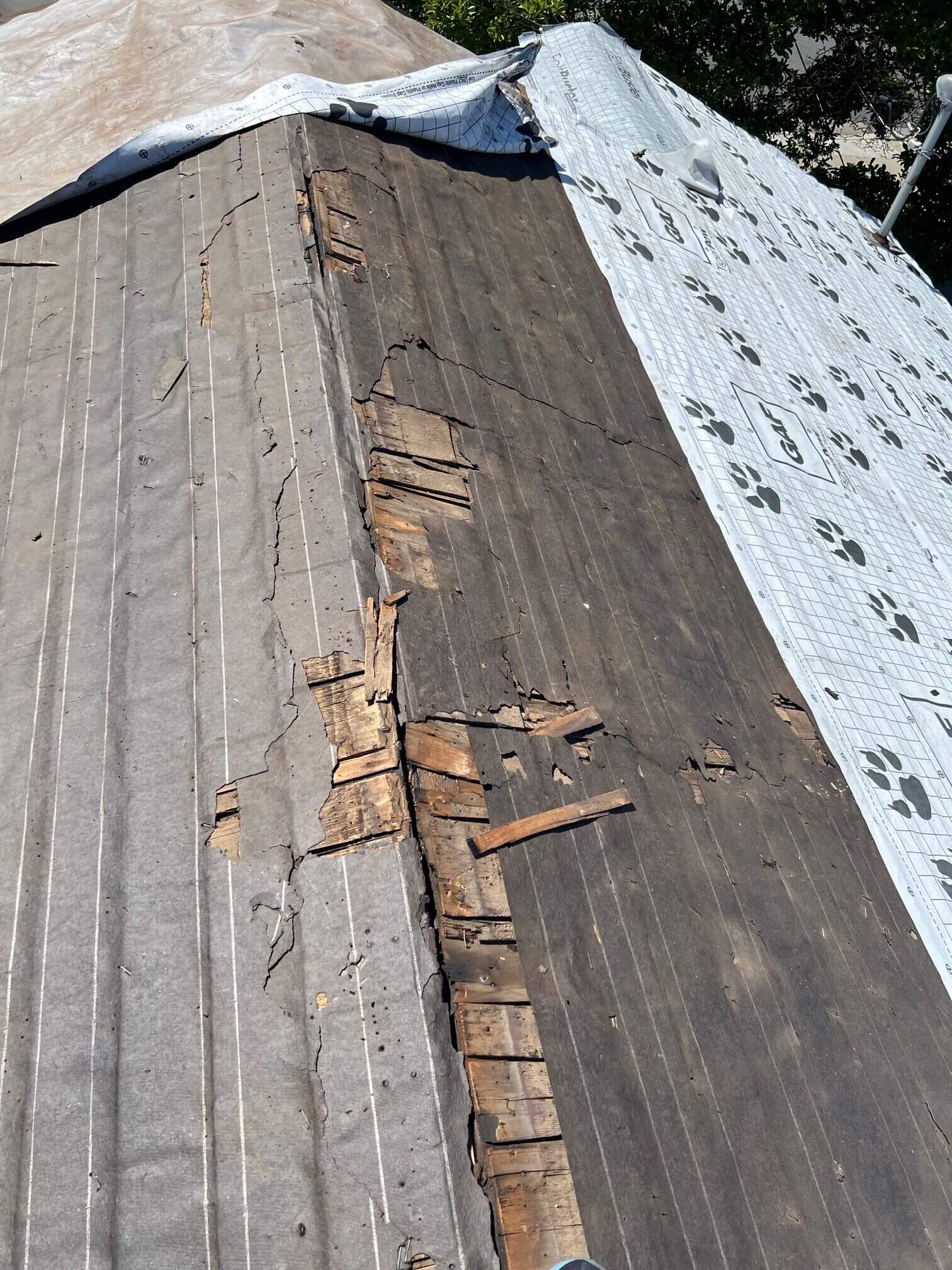 Sunnyvale Roofing unlicensed roofing company poor roof over roofing installation